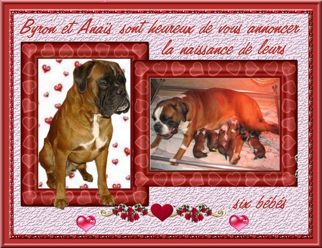 les BB d'Anaïs et Byron
